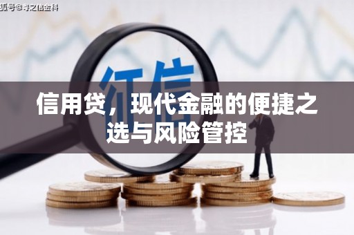 疏勒信用贷，现代金融的便捷之选与风险管控