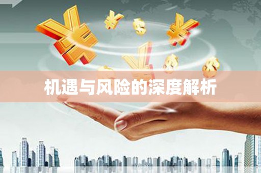 湖西机遇与风险的深度解析