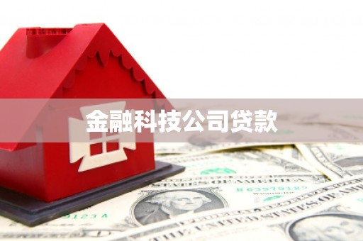 雨花金融科技公司贷款