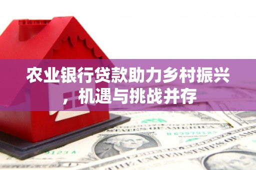 江北农业银行贷款助力乡村振兴，机遇与挑战并存