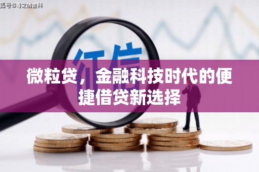安龙微粒贷，金融科技时代的便捷借贷新选择