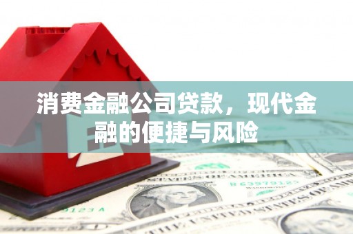 理县消费金融公司贷款，现代金融的便捷与风险