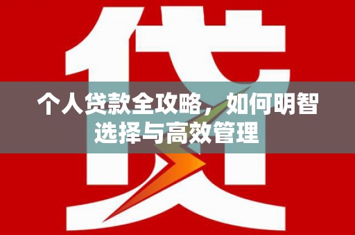 东丽个人贷款全攻略，如何明智选择与高效管理