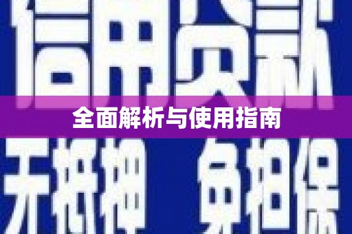 仑背全面解析与使用指南