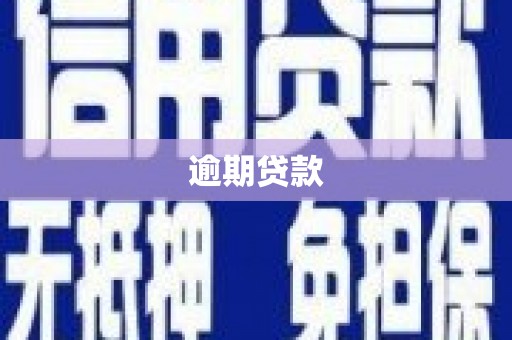 黔东南逾期贷款