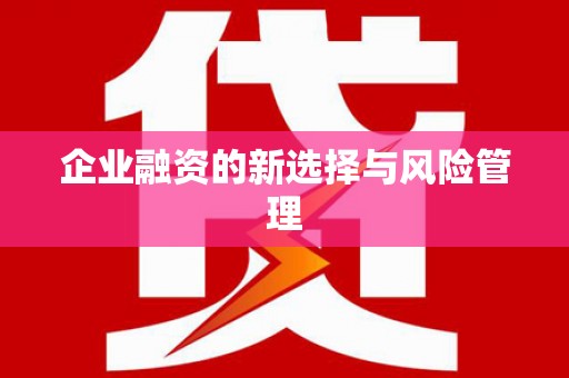 闵行企业融资的新选择与风险管理