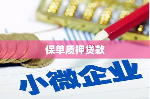 仁寿保单质押贷款
