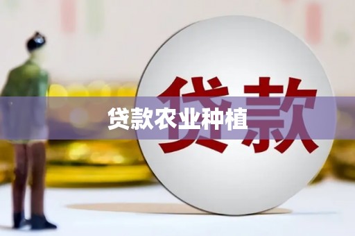 二水贷款农业种植